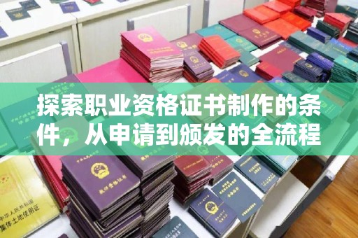 狮子山探索职业资格证书制作的条件，从申请到颁发的全流程解析